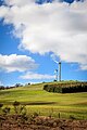 A vertical shot of Challicum Hills Wind Farm