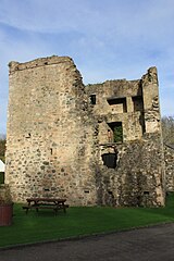 Quoile Castle, October 2009