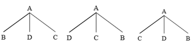 Three trees generated by the PS rule A-> B, C, D