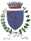 索拉里诺徽章