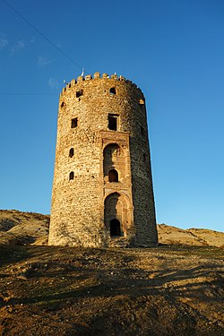 Tower Salkhino in Vashlovani