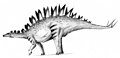 Tuojiangosaurus