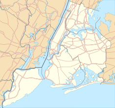 Magnolia grandiflora (Brooklyn) is located in New York City