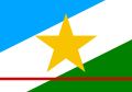 巴西罗赖马州州旗