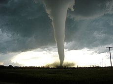 A funnel cloud touching down in the middle of a small stand of pine trees