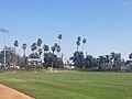 Glover Stadium scoreboard