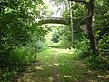 A naturepath on an abandoned railway track