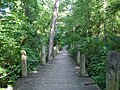 trail running south from Beauregard Street