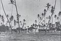 Queen Kapiʻolani's Waikīkī residence probably Pualeilani