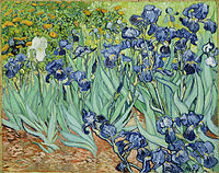 Irises, (1889)