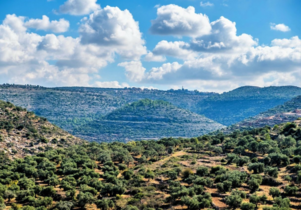 View from the Hasmonean fortress eastward towards the Zerka springs reserve