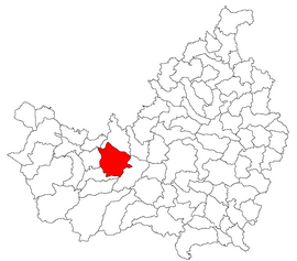 Location in Cluj County