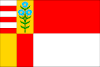 Flag of Drhovy