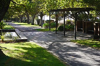 Katherine Mansfield Memorial Park, 2021