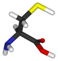 L-Cysteine