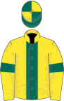 Yellow, dark green stripe and armlets, dark green and yellow quartered cap
