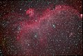 Amateur image of the Seagull Nebula, taken with 100mm refractor