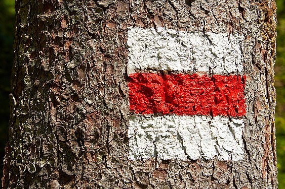 Swiss Trail Blazing Sign – Fresh Paint on Tree near Braunwald (Glarus) – Red marks Bergwanderwege, i.e., possibly steep, but still distinguishable