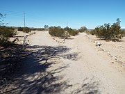 Cemetery trail.