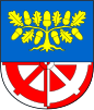 Coat of arms of Bílá Lhota