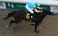 Bodemeister at the Kentucky Derby