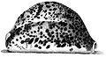 Drawing of a right-side view of the shell of Cypraea tigris from Index Testarum Conchyliorum (1742) by Niccolò Gualtieri.
