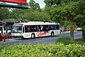 A Disney Transport 40' 2nd Gen LFS