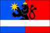 Flag of Zašová
