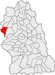 Location in Hunedoara County