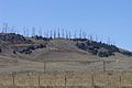 Tehachapi wind farm