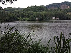 广东工业大学龙洞校区后山的一个池塘，游戏的取景地之一，在游戏中是棠下村里林家俊和陈茵琳一起钓鱼的地方。