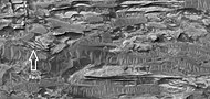 HiWish计划下高分辨率成像科学设备拍摄的克罗姆林陨击坑内岩层近景，箭头指示了断层处。