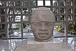 Colossal head; c.1050 BC; steatite; height: 2.2 m; Museo de Antropología de Xalapa (Xalapa, Mexico)[60]