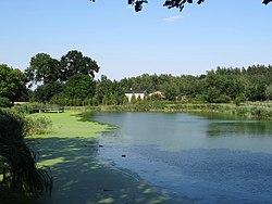 Pond in Gzin