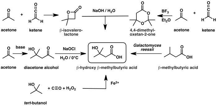 Graphic of the later synthetic routes to β-hydroxy β-methylbutyric acid