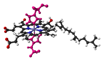 Heme a in cytochrome c oxidase, bound by two histidine residues (shown in pink)
