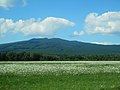 The Vihorlat Mountains seen from Jovsa