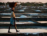 AE2. A daily wage worker in a salt field. The average minimum wage of daily labourers is around Rs.100 per day