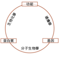 2011年11月28日 (一) 02:33版本的缩略图