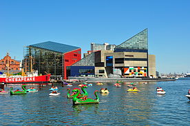 National Aquarium, Baltimore