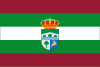 Flag of Valdelugueros, Spain