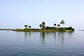 Image 64Bone Island, Batticaloa (from List of islands of Sri Lanka)