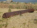 A cannon at Fort Charles