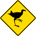 Watch for animals (pūkeko)