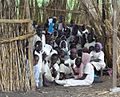 Muslim children in South Sudan