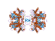 2ib7: Crystallographic and kinetic studies of human mitochondrial acetoacetyl-CoA thiolase (T2): the importance of potassium and chloride for its structure and function