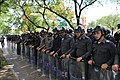 泰国防暴警察配防暴盾