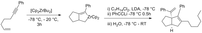 Zirconocyclisation 2006