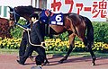 於 2006年6月18日 (日) 13:30 版本的縮圖