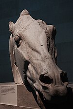 Head of one of Selene's horses.